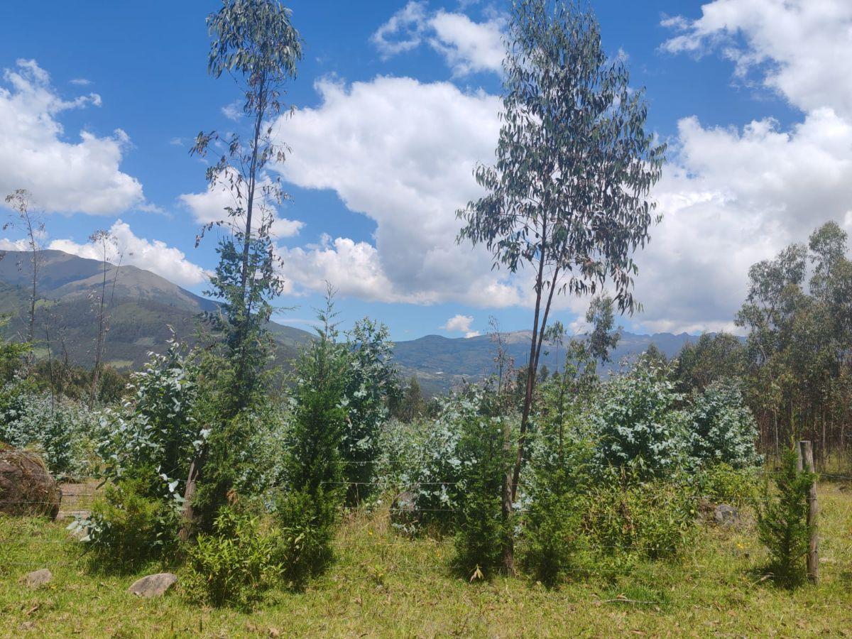 Terreno Esquinero de Venta Otavalo, Parroquia San Pablo, Imbabura — imagen 3