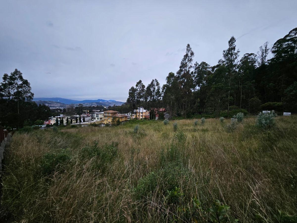Terreno en Urbanizacion - Mariscal Sucre - Occidental — imagen 5