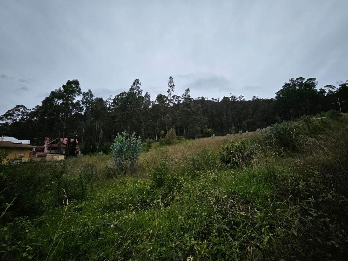 Terreno en Urbanizacion - Mariscal Sucre - Occidental — imagen 4