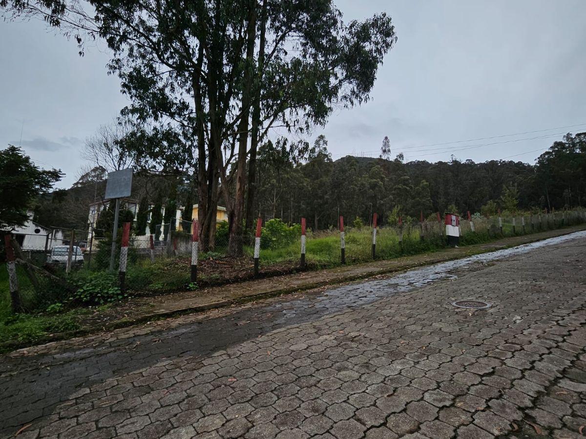 Terreno en Urbanizacion - Mariscal Sucre - Occidental — imagen 3