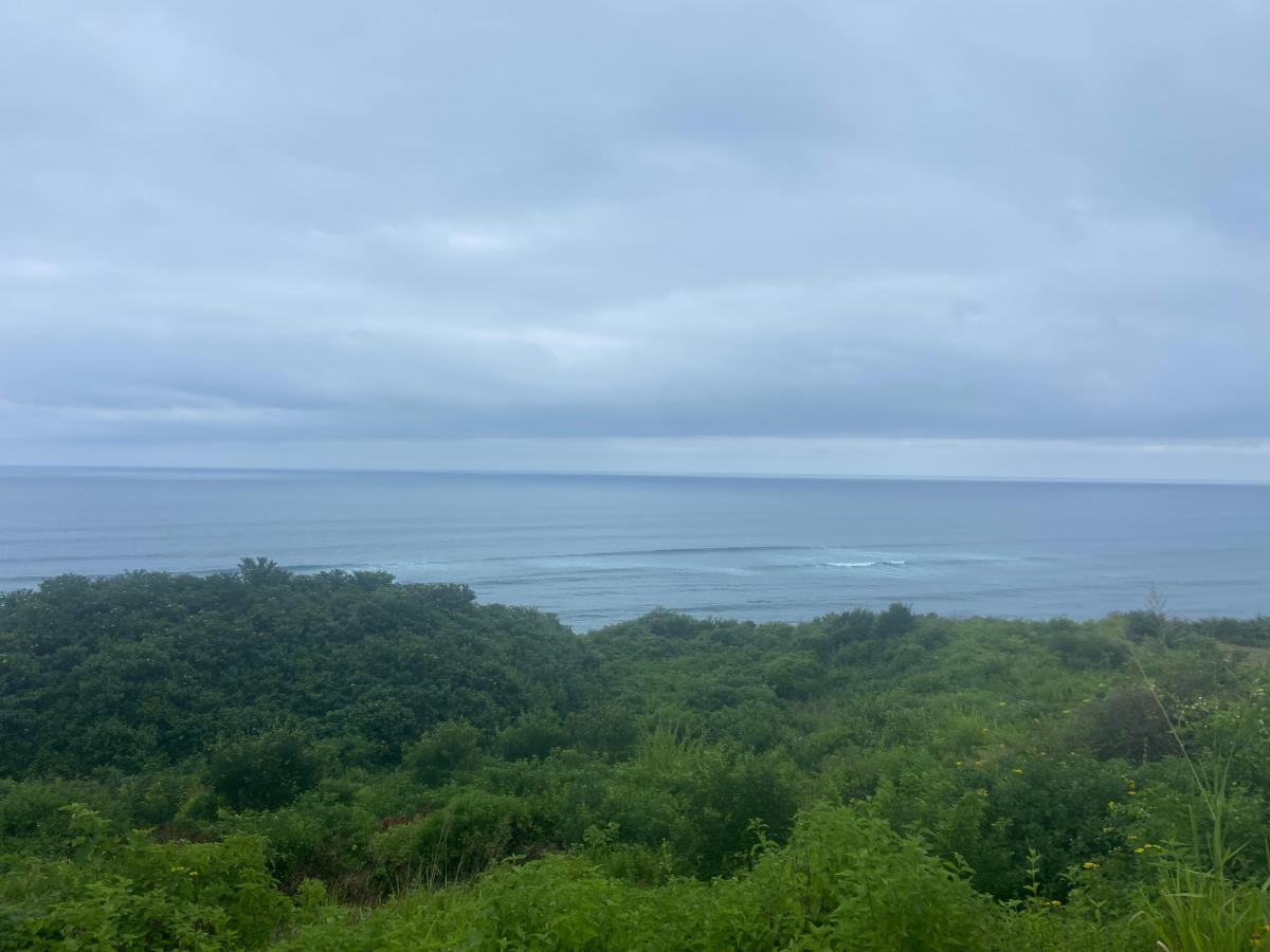 Remate Terreno Venta Manabi, Manabí — imagen 3