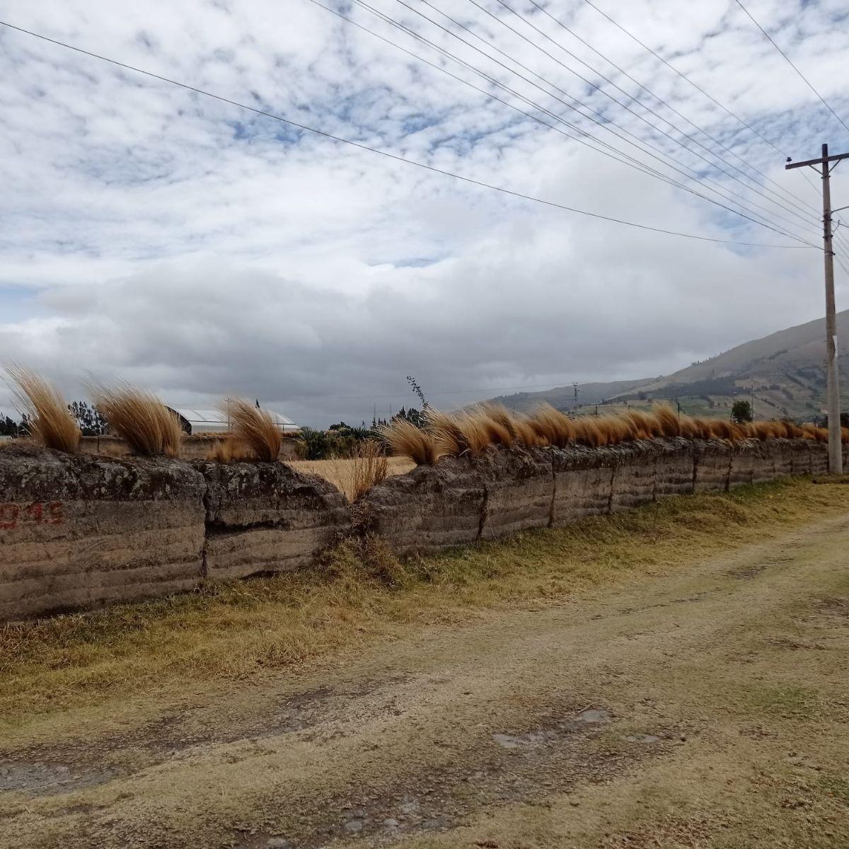 Terreno 1527 m² Esquinero Sector Olmedo, Cayambe — imagen 5