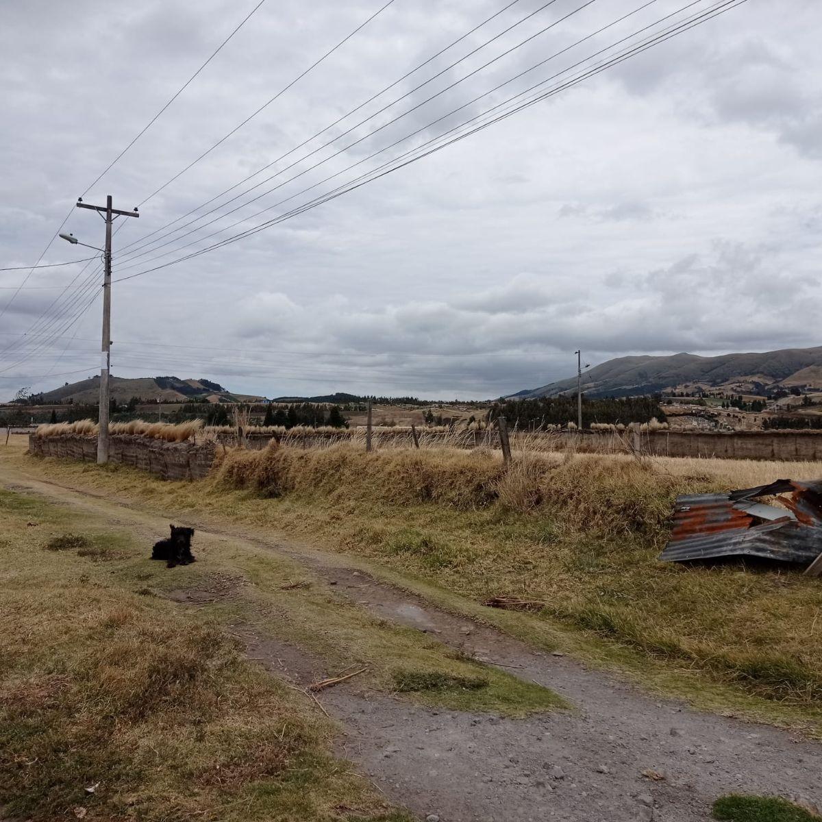 Terreno 1527 m² Esquinero Sector Olmedo, Cayambe — imagen 4