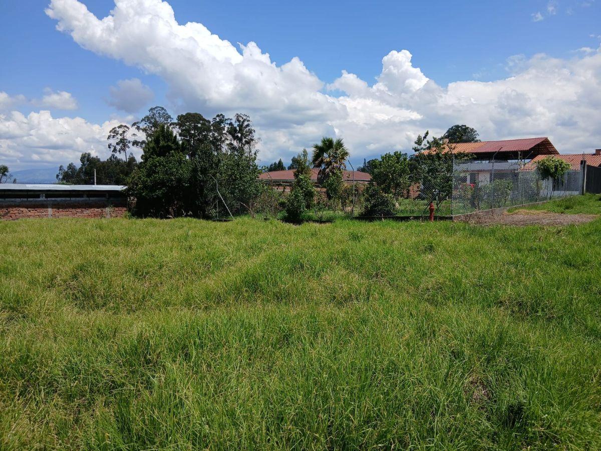 Terreno en Venta Valle de Los Chillos, Sangolqui, Via Amaguaña — imagen 9