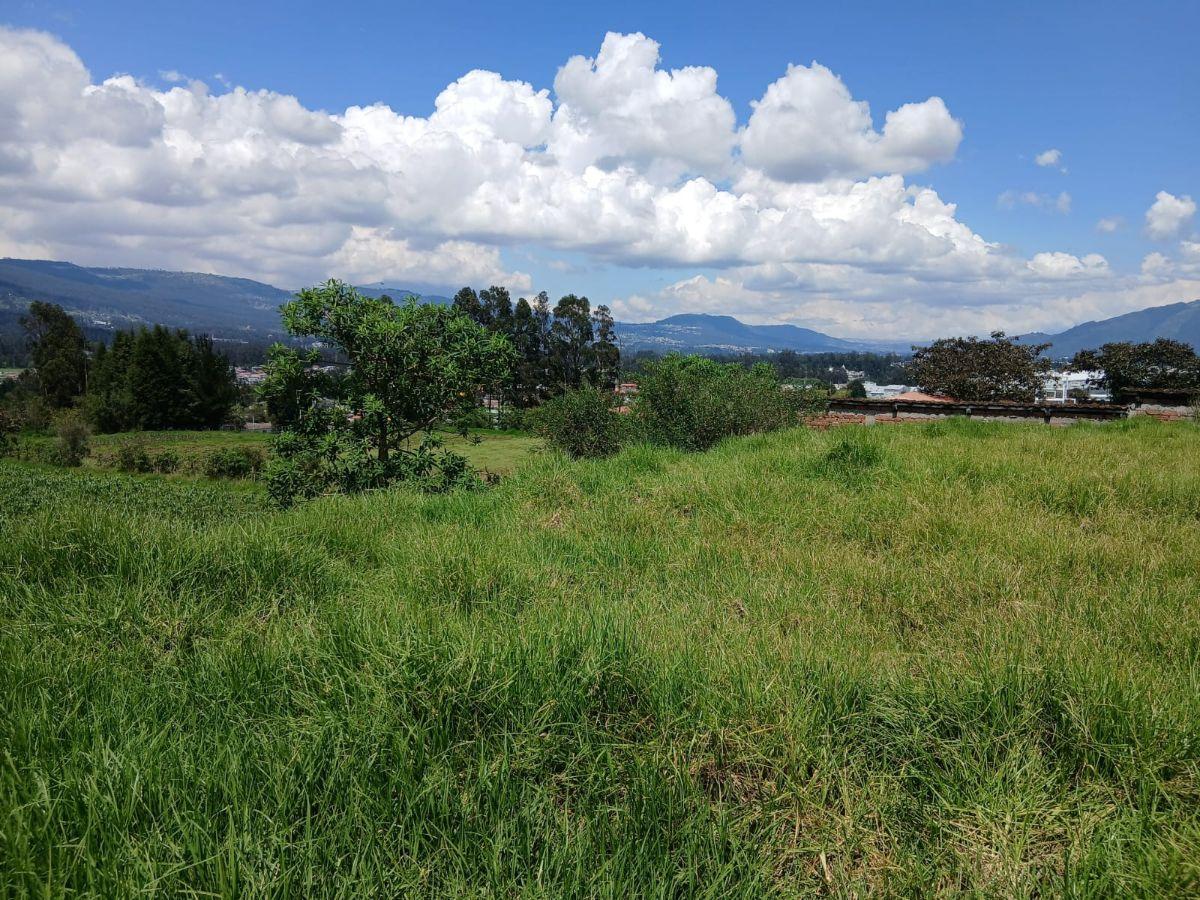 Terreno en Venta Valle de Los Chillos, Sangolqui, Via Amaguaña — imagen 5