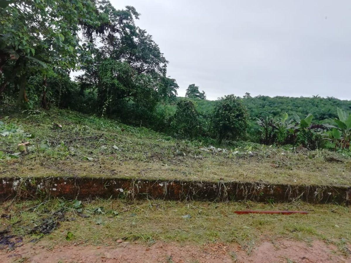 Terreno en Urbanización de 970 m² en Pedro Vicente Maldonado a 2 Horas de Quito — imagen 5