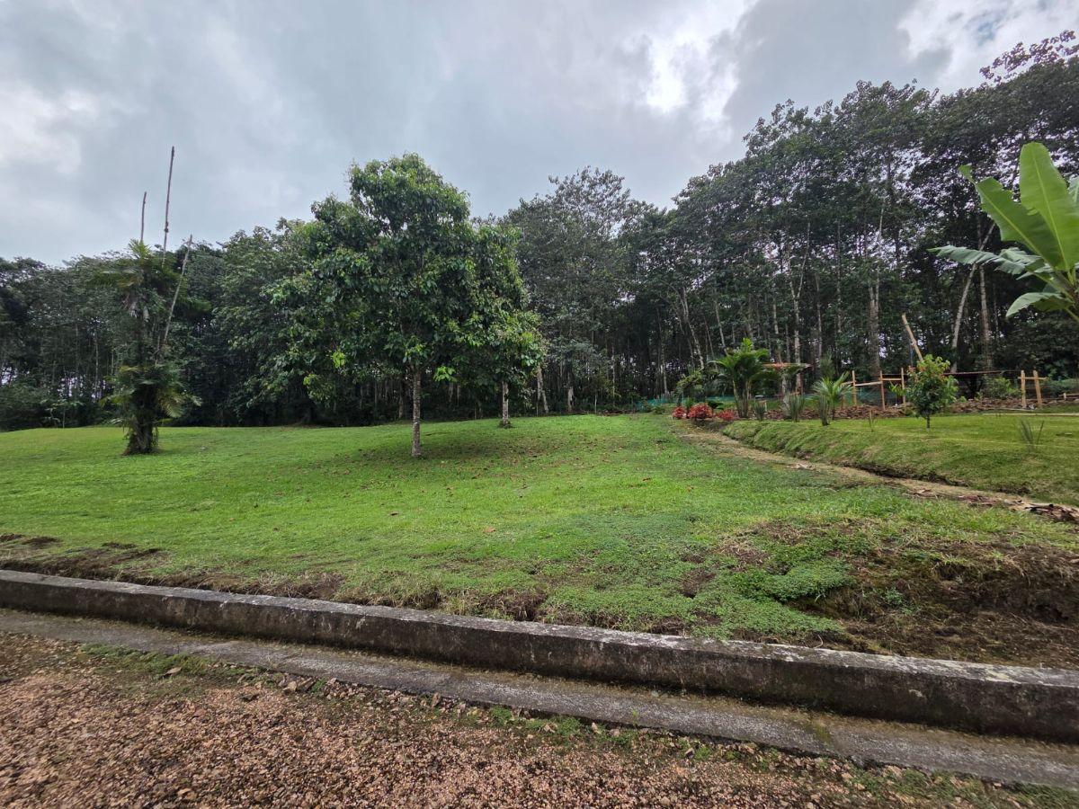 Venta 6 Lotes de Terreno Urb. Las Bromelias — imagen 4
