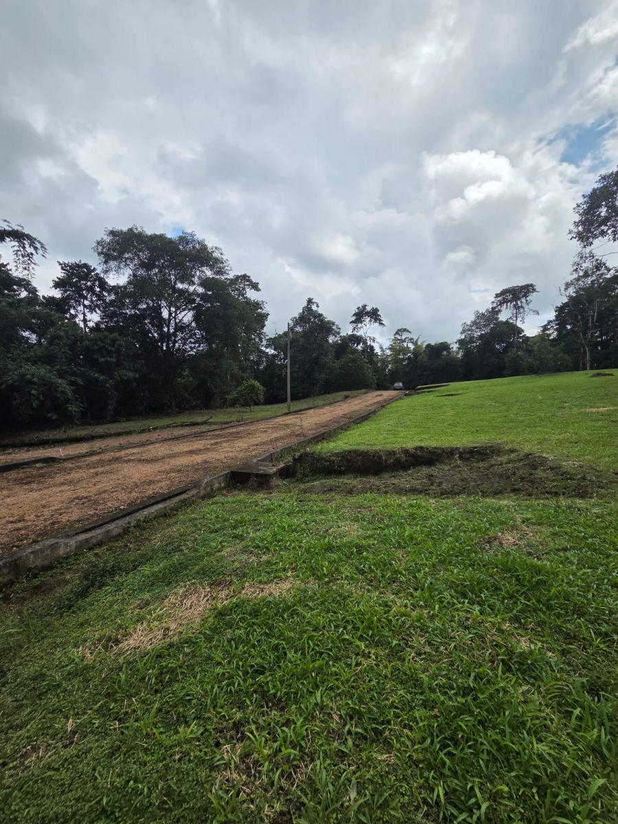 Venta 6 Lotes de Terreno Urb. Las Bromelias — imagen 3