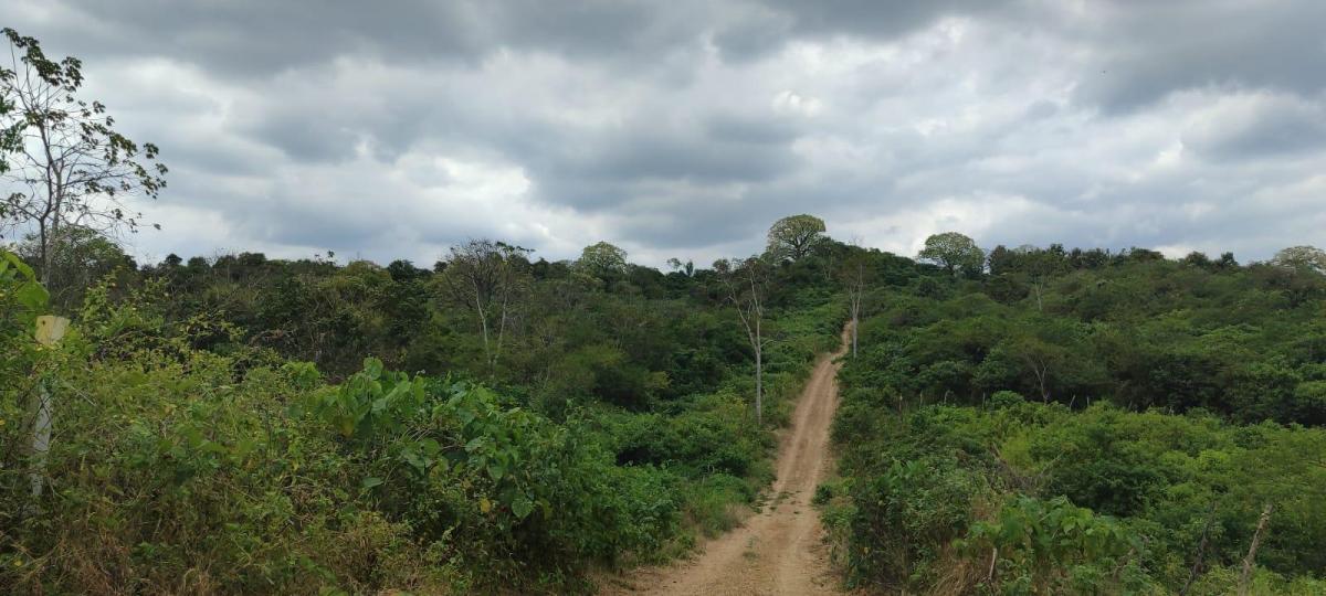 Terreno en Venta en Mamey Bajada Chanduy, Santa Elena, Chrc, Guayas — imagen 5