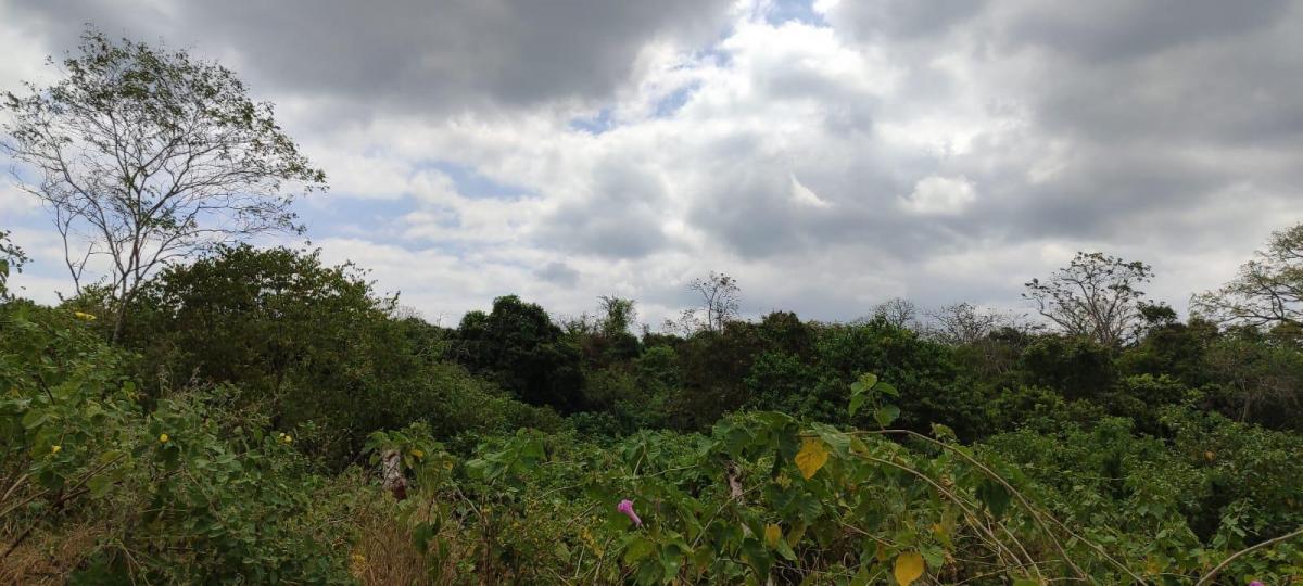 Terreno en Venta en Mamey Bajada Chanduy, Santa Elena, Chrc, Guayas — imagen 4