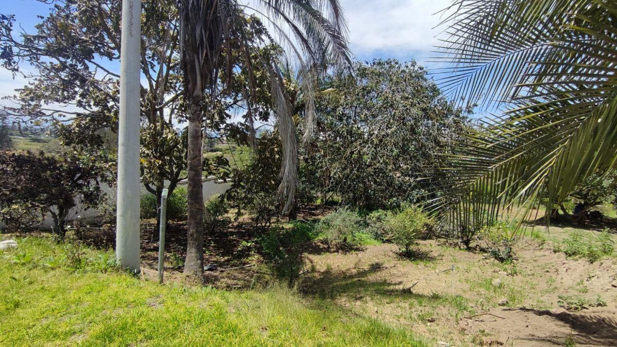 Venta Terreno Sector Arrayanes - Puembo — imagen 5