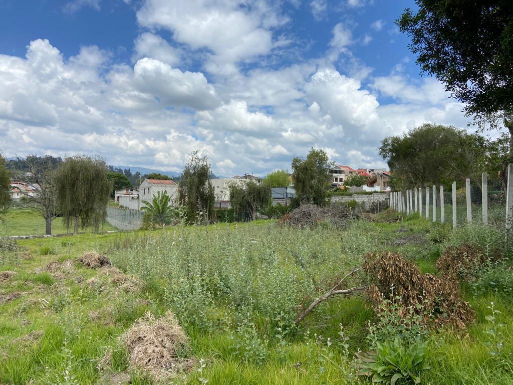 Terreno con Iprus en Venta, Sector Ricaurte, Azuay — imagen 4