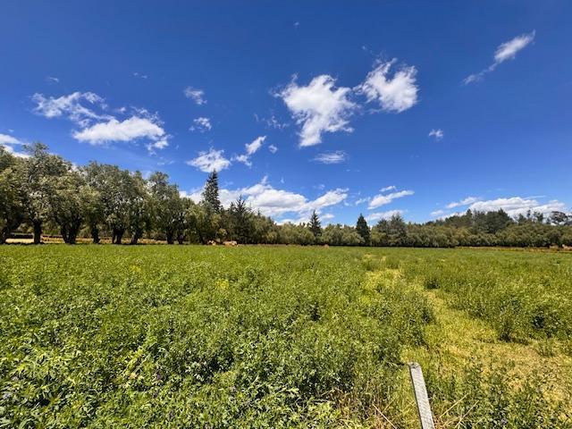 Vendo 3 Lotes en Checa — imagen 5
