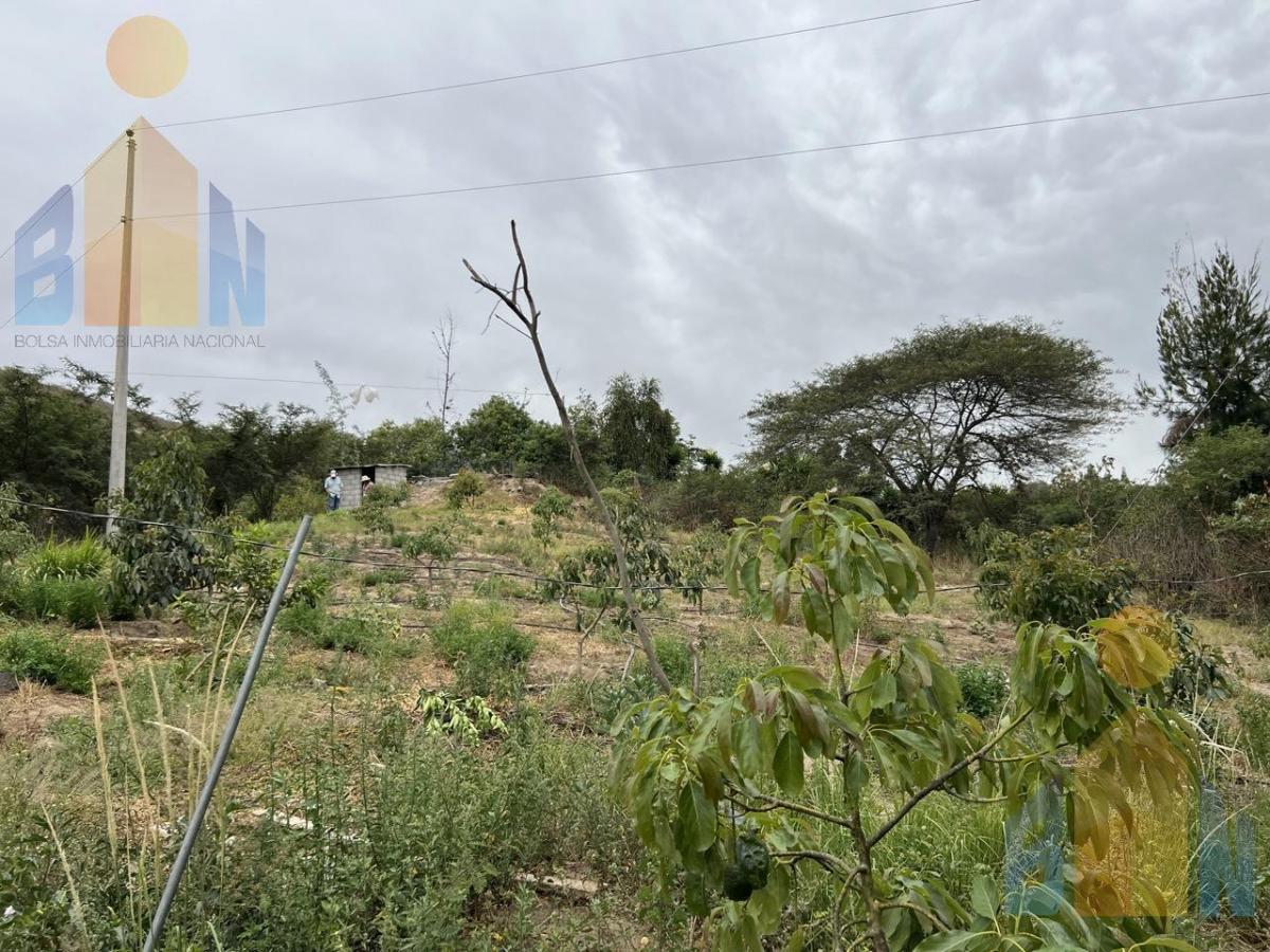 Terreno de Venta en Guayllabamba Ideal Para Negocio Panamericana Norte — imagen 5