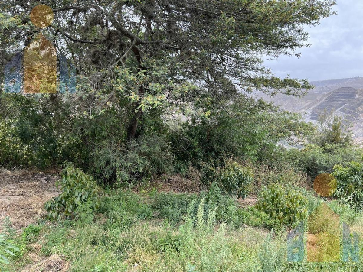 Terreno de Venta en Guayllabamba Ideal Para Negocio Panamericana Norte — imagen 3