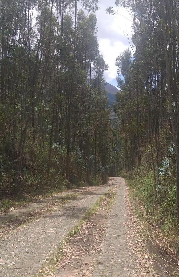 Vendo Terrenos en El Lago San Pablo, Imbabura — imagen 4