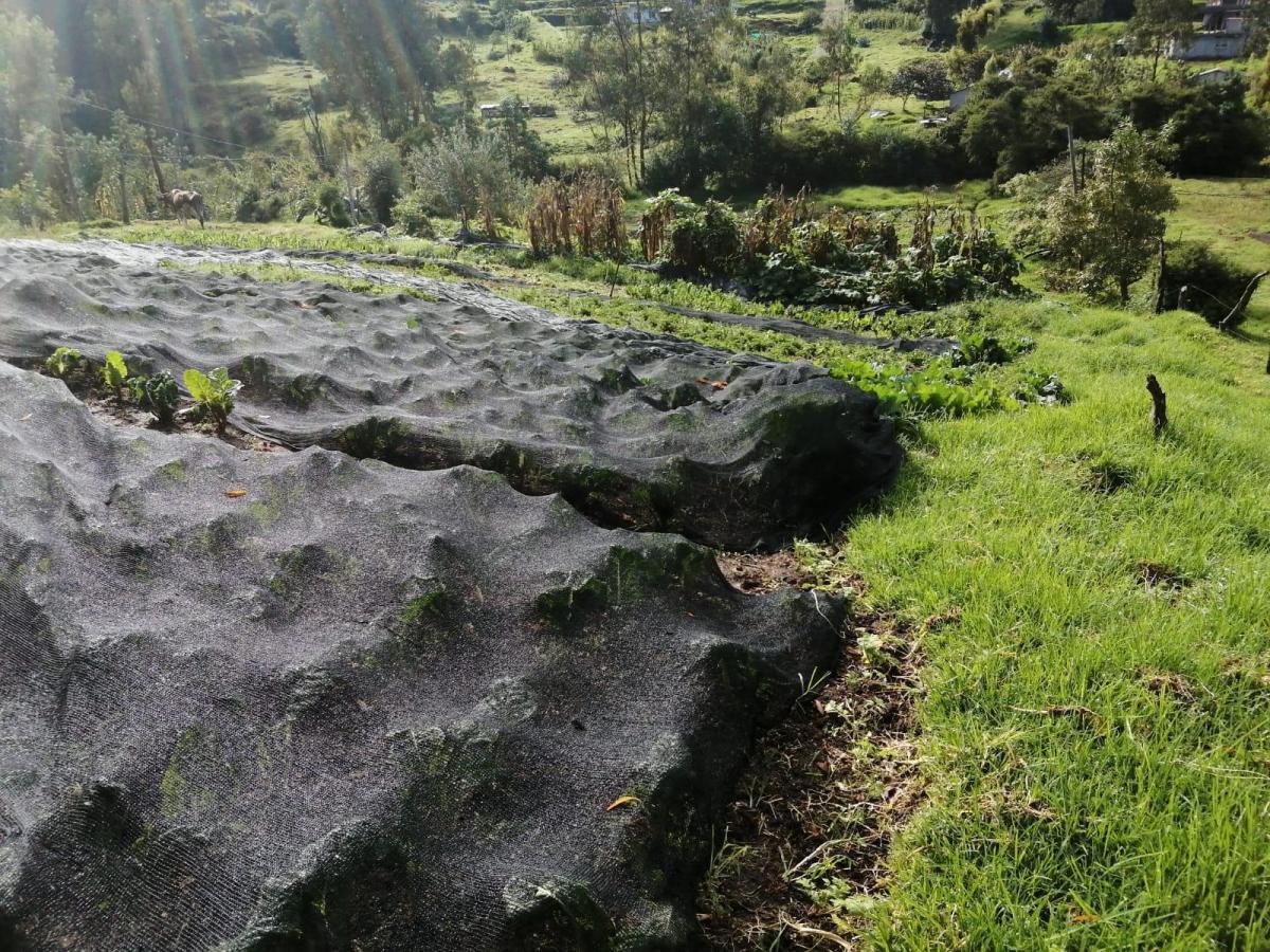 Terreno en Venta en La Merced. Valle de Los Chillos. 1684 m — imagen 5
