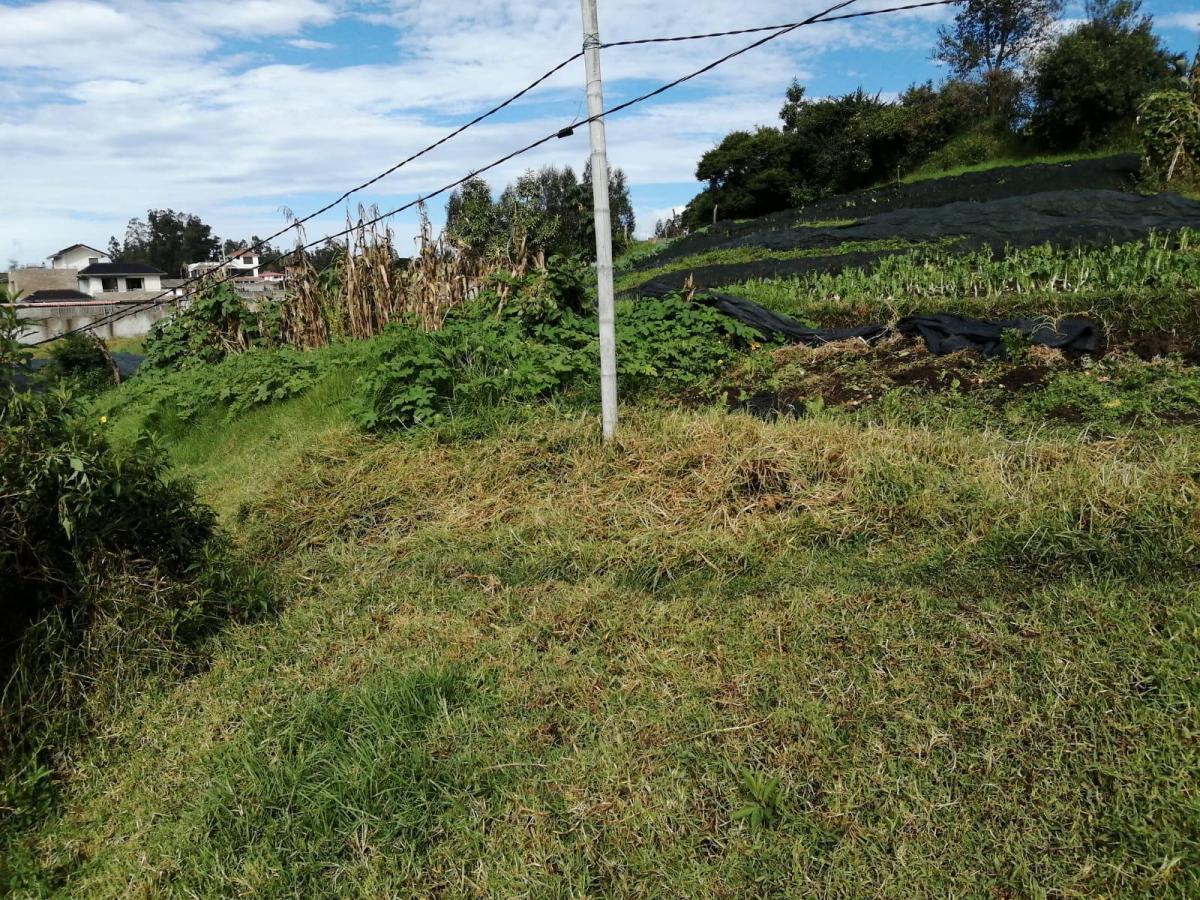 Terreno en Venta en La Merced. Valle de Los Chillos. 1684 m — imagen 4