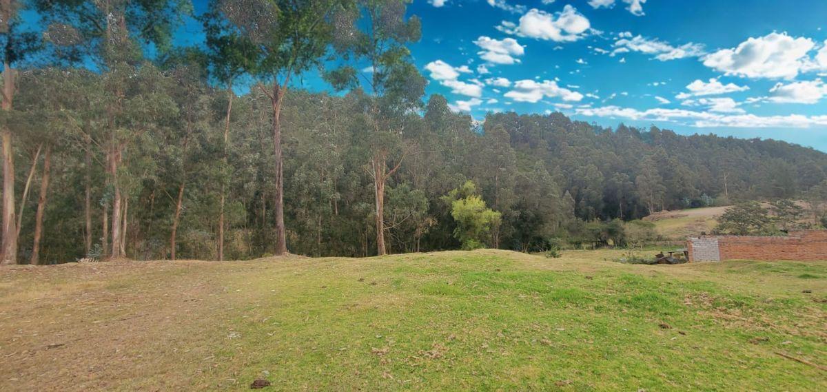 Venta de Terreno Para Desarrollo Inmobiliario – San Fernando, Sangolquí | Valle de Los Chillos — imagen 4