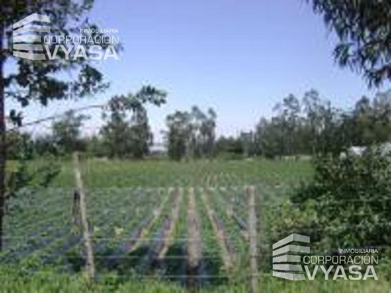 Tababela, Nuevo Aeropuerto, Lote de Terreno en Venta, 4 H — imagen 5