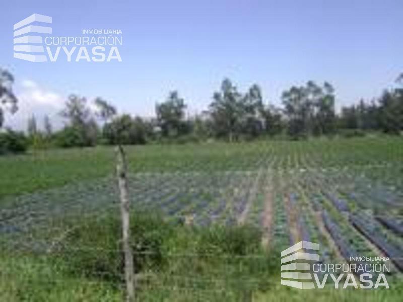 Tababela, Nuevo Aeropuerto, Lote de Terreno en Venta, 4 H — imagen 4