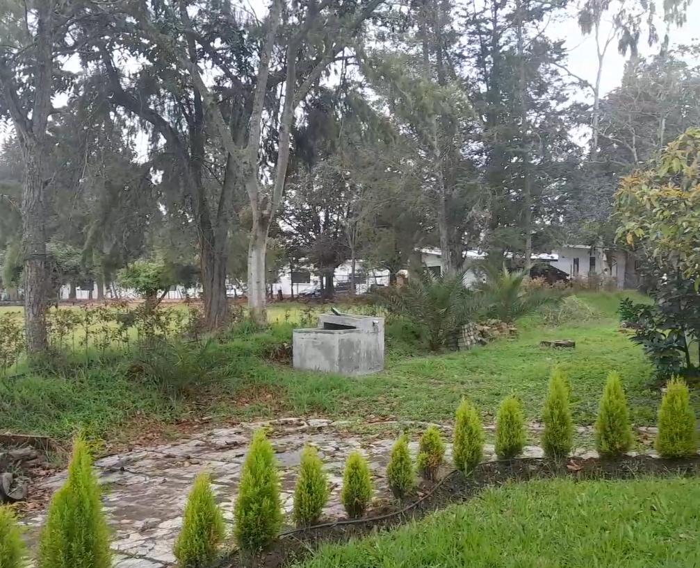 Venta Quinta de 6.600 m² en Puembo | Alta Plusvalía | Casa Habitable | Inversión o Vida Familiar — imagen 3