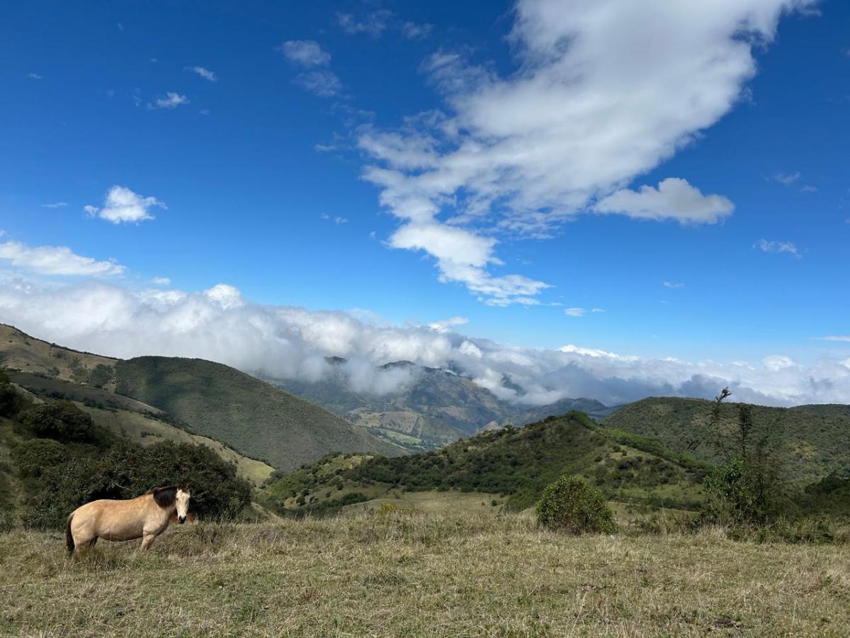 30 Hectáreas en Venta en Tenerias Catzuqui de Velazco — imagen 3