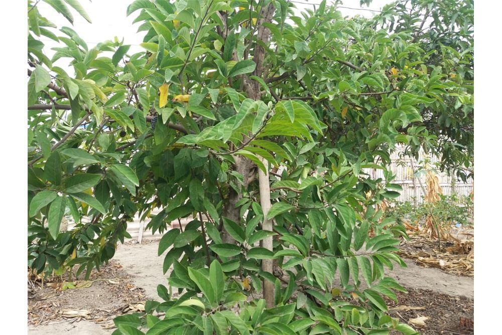 Terreno de Venta en Manta Zona Norte Manabi, Manabí — imagen 7