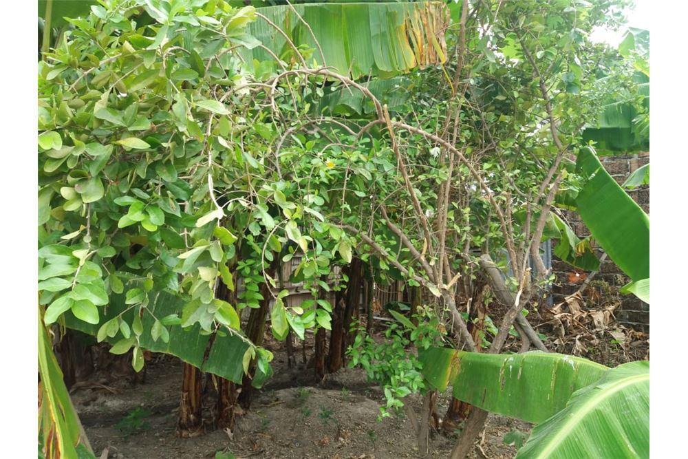 Terreno de Venta en Manta Zona Norte Manabi, Manabí — imagen 4
