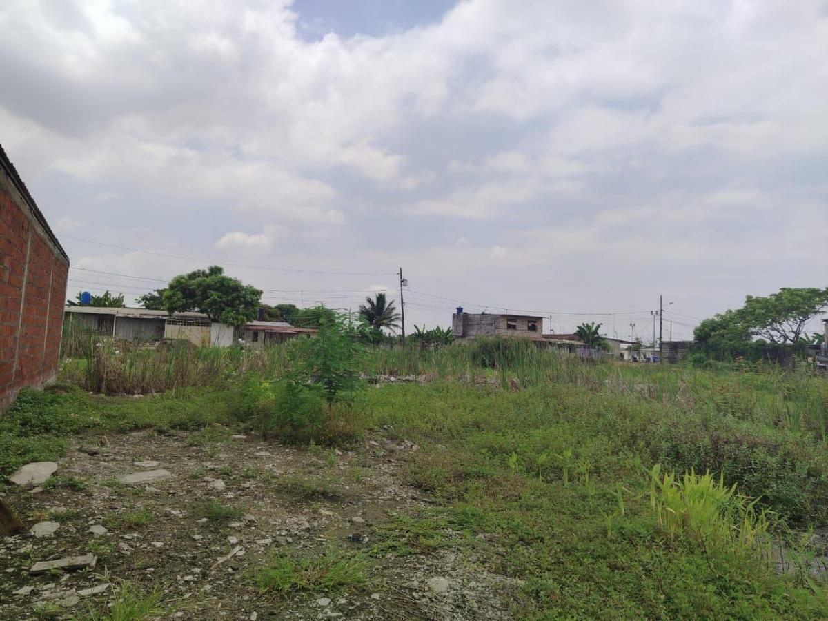 Terreno en Venta en Recreo, Norte de Durán Tato, Guayas — imagen 10