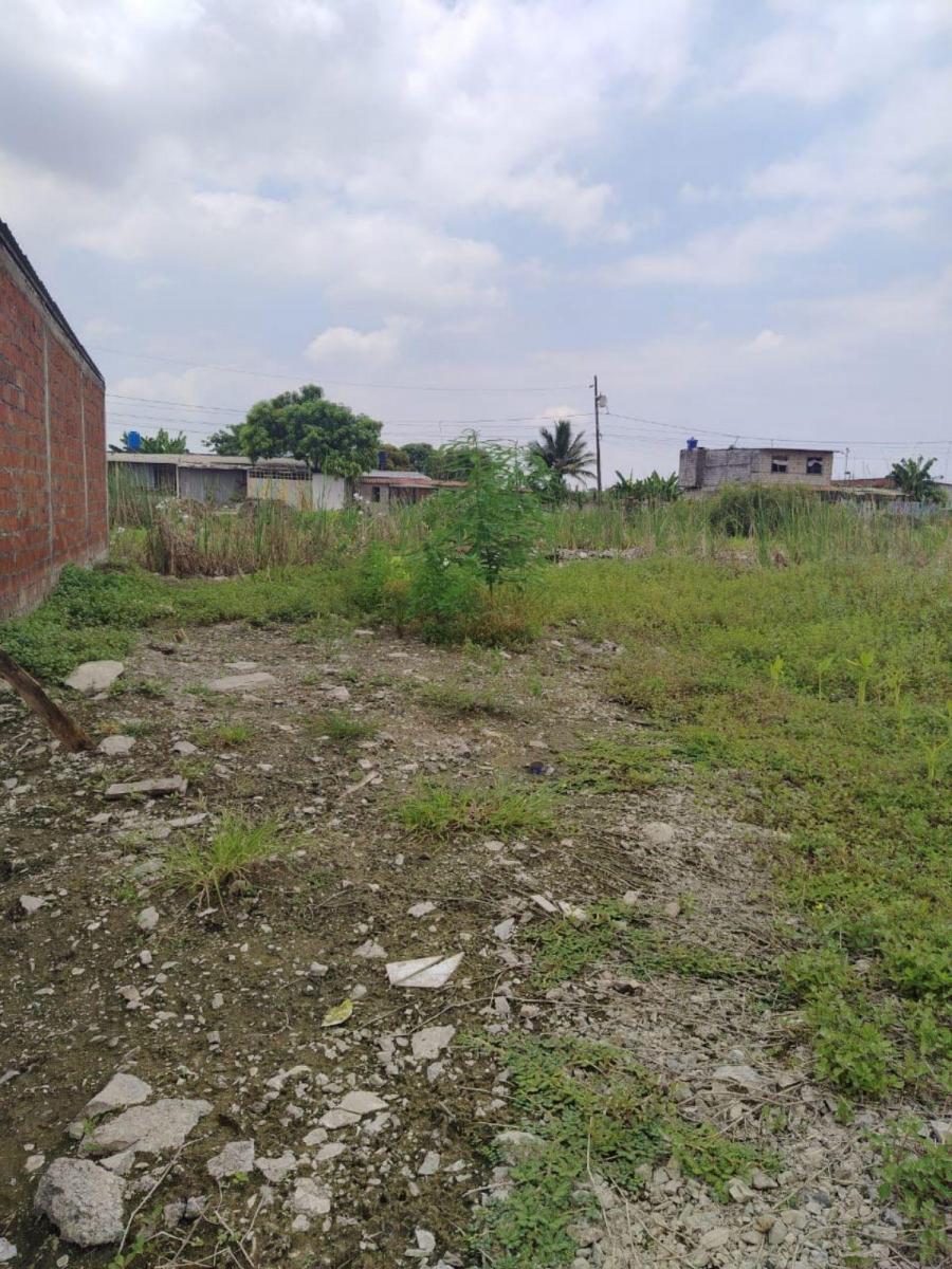 Terreno en Venta en Recreo, Norte de Durán Tato, Guayas — imagen 5