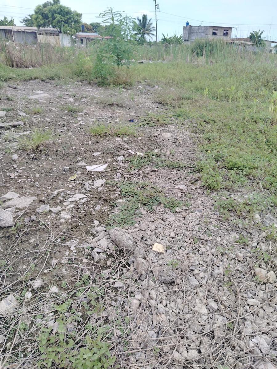 Terreno en Venta en Recreo, Norte de Durán Tato, Guayas — imagen 4