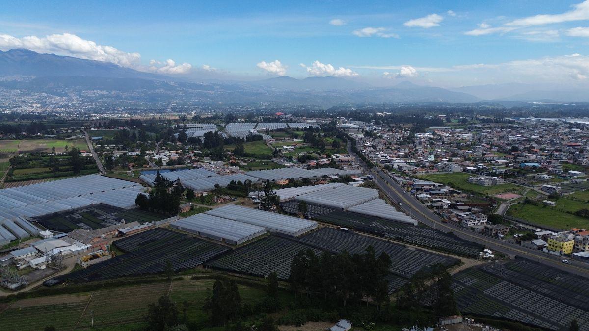 Terreno de 200 m² en Venta - Pifo — imagen 9