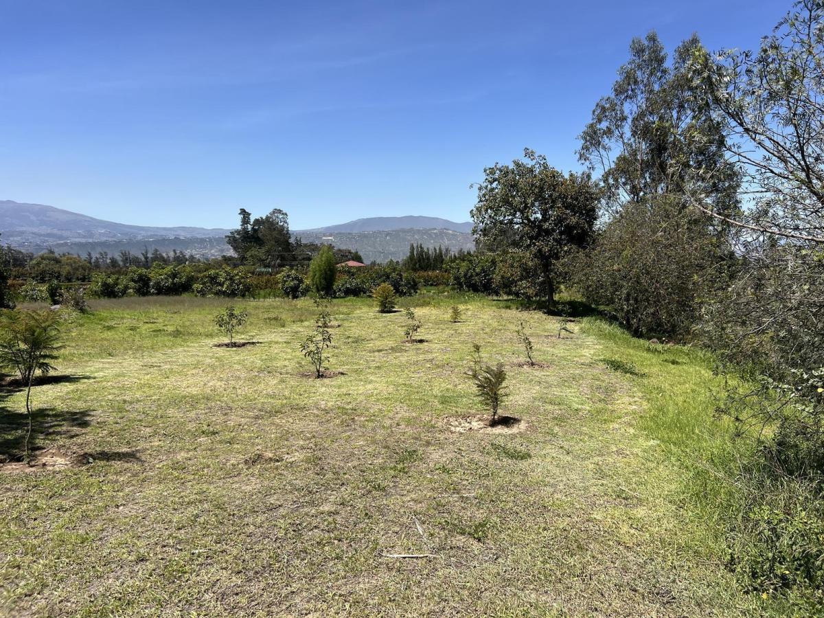 Terreno de Venta en Checa Urbanización de Lujo — imagen 5