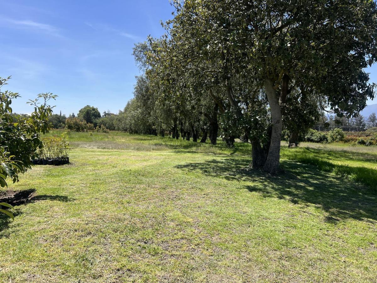 Terreno de Venta en Checa Urbanización de Lujo — imagen 4