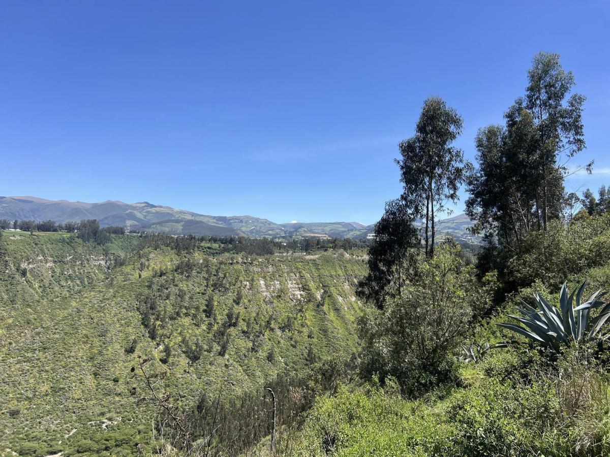 Terreno de Venta en Checa Urbanización de Lujo — imagen 3