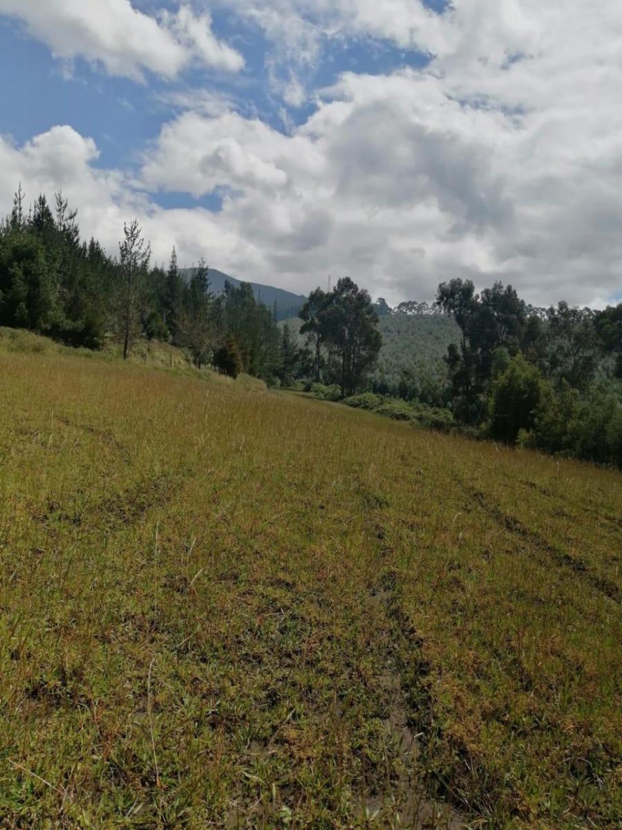Vendo Para Caballos m² en un Sector Privilegiado en Tabacundo — imagen 3
