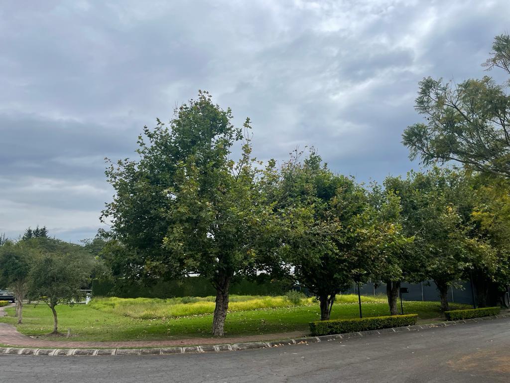 En Puembo, en Venta Terreno 1200 m² Lado A, Club Privado Arrayanes — imagen 4