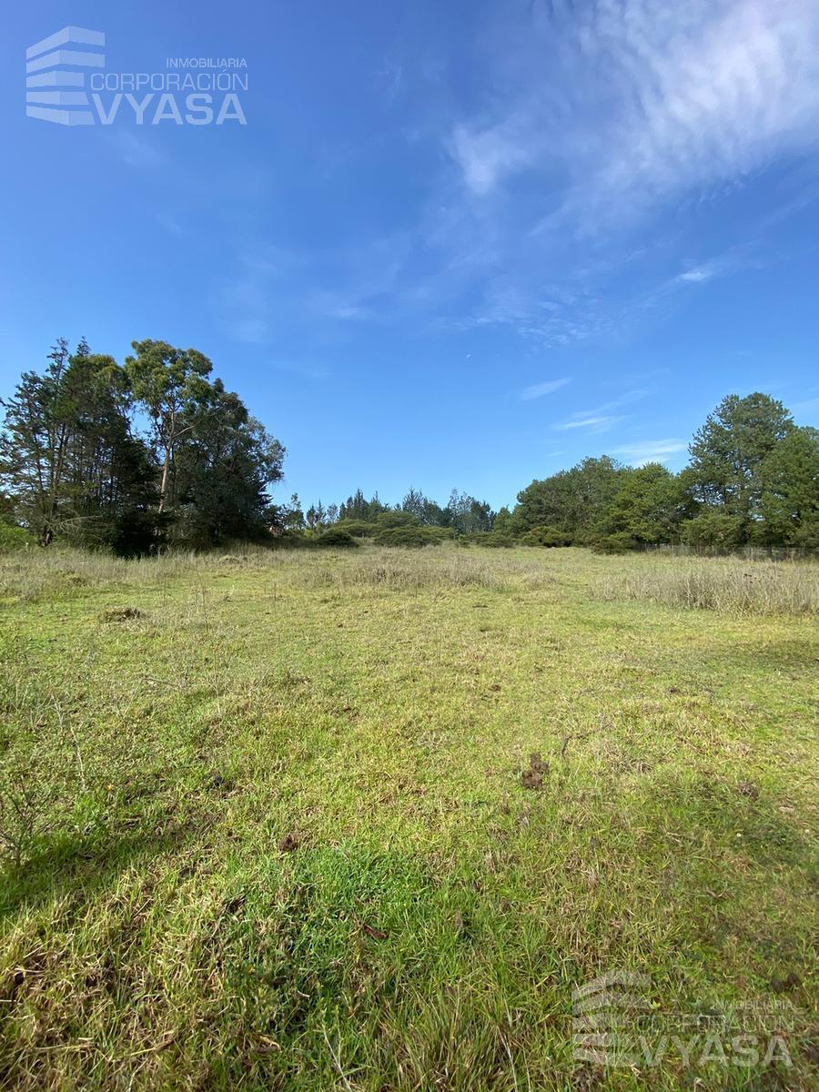 Puembo - Cerca Cruz de Piedra, Terreno de 13.000 m² en Venta — imagen 3