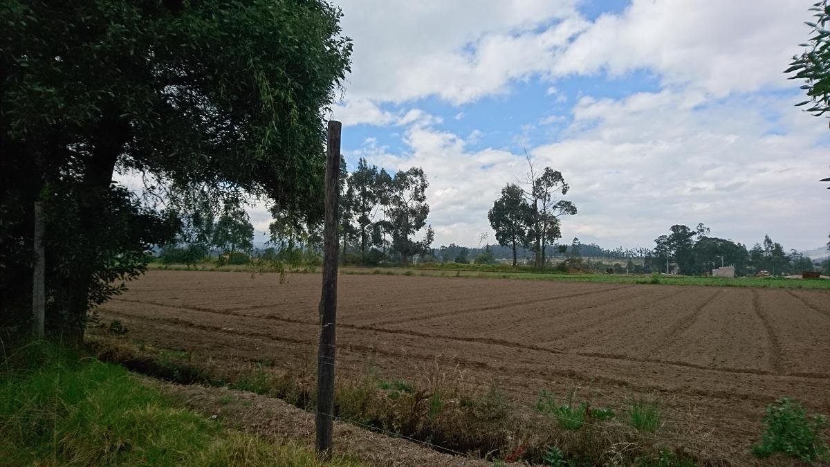 Venta de Espectacular Terreno en Pifo con Frente a La Vía Principal. Provincia de Pichincha — imagen 5