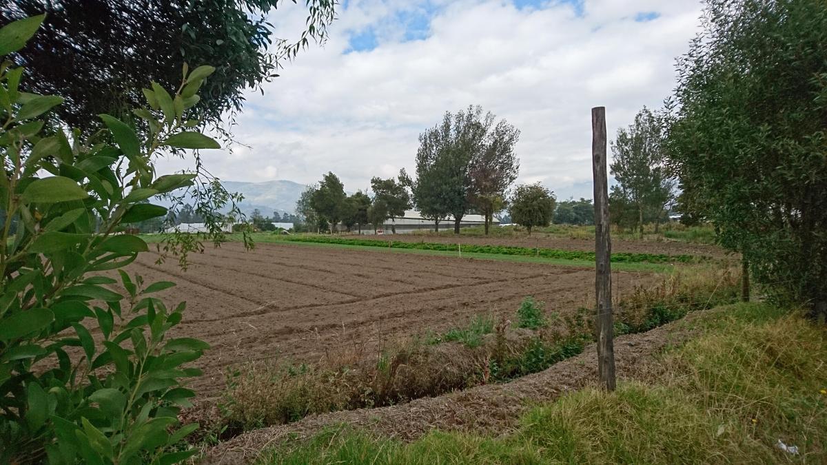 Venta de Espectacular Terreno en Pifo con Frente a La Vía Principal. Provincia de Pichincha — imagen 4