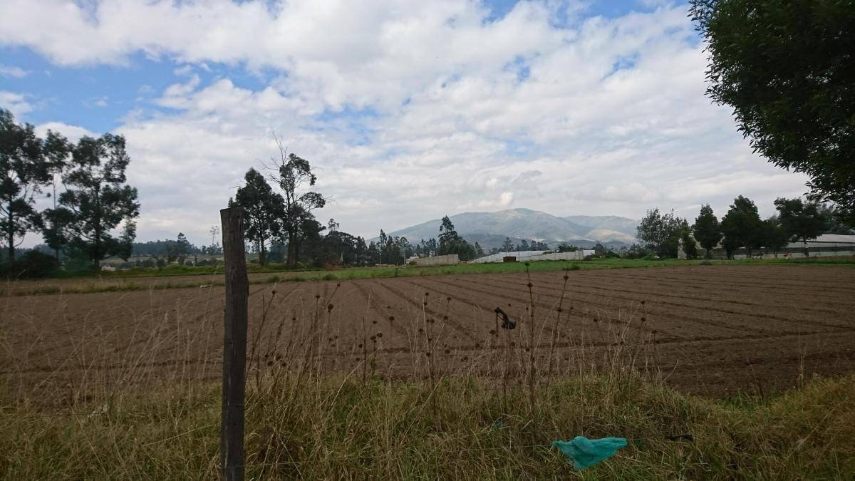 Venta de Espectacular Terreno en Pifo con Frente a La Vía Principal. Provincia de Pichincha — imagen 3