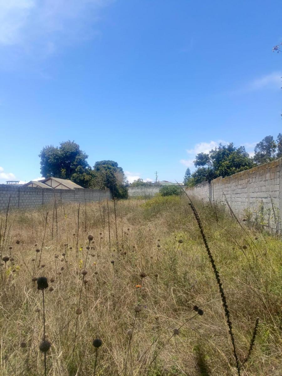 Terreno de Venta en La Mitad del Mundo Apto Para Constructoras — imagen 5