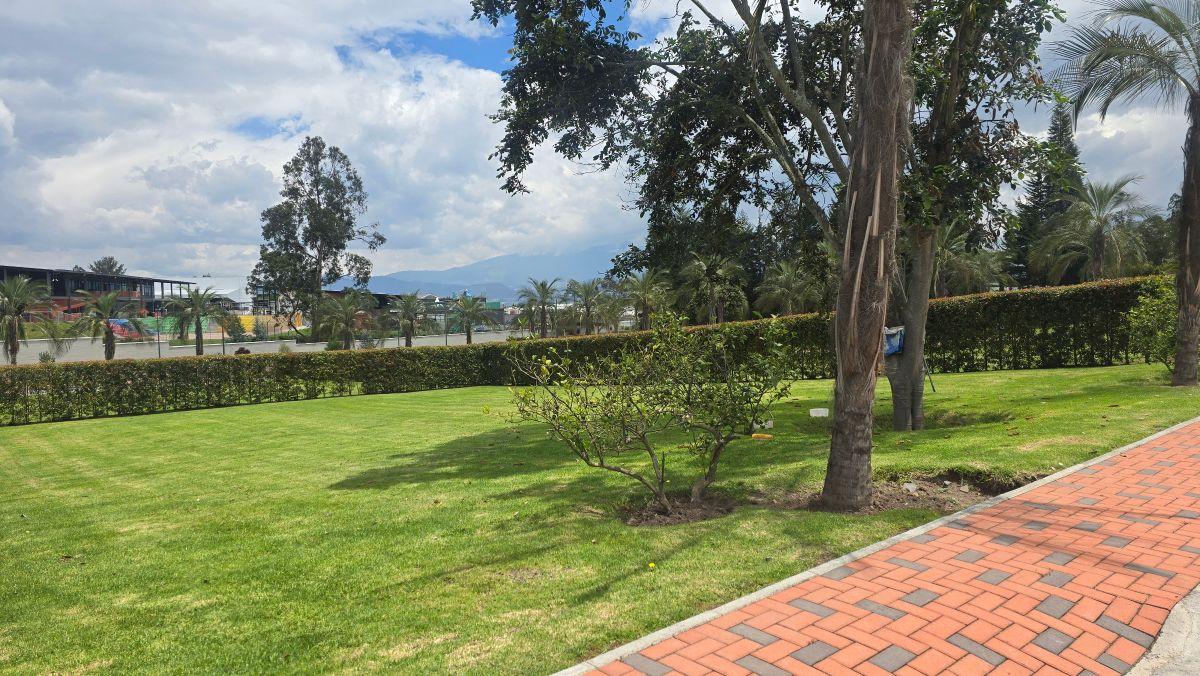 Terreno Exclusivo de Venta en Puembo | 630,11 m² | Urbanización Privada de Alto Nivel — imagen 5