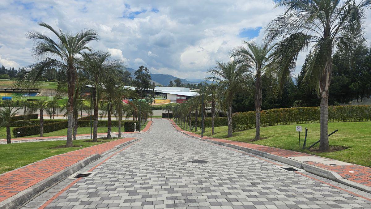 Terreno Exclusivo de Venta en Puembo | 630,11 m² | Urbanización Privada de Alto Nivel — imagen 3