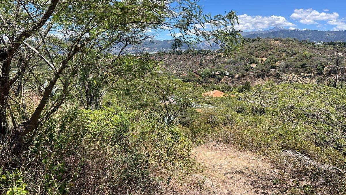 Tumbaco Terreno de Venta Urbanizacion La Viña — imagen 3