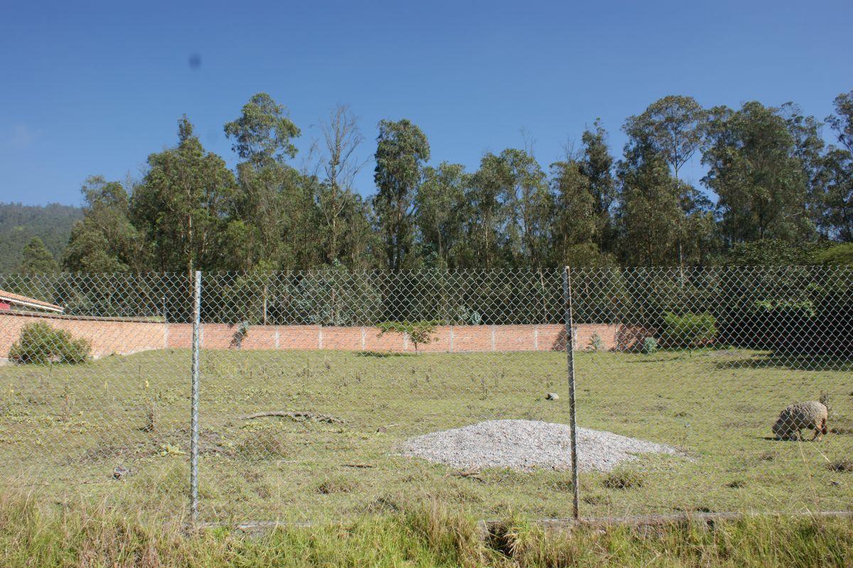 Venta - Terreno - Nayon - Quito - Sector Guayraloma — imagen 4