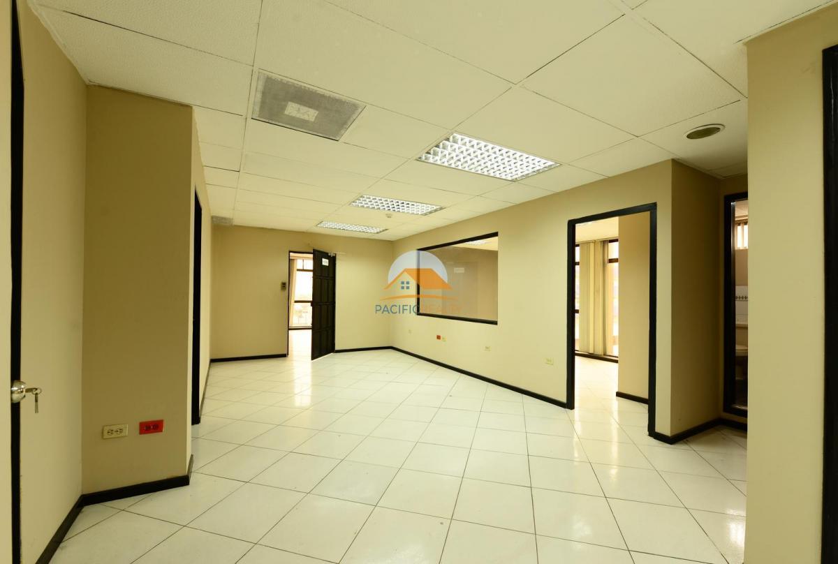 Espectacular Oficina (Todo El Piso #3) en La Av 9 de Octubre, Guayas — imagen 4