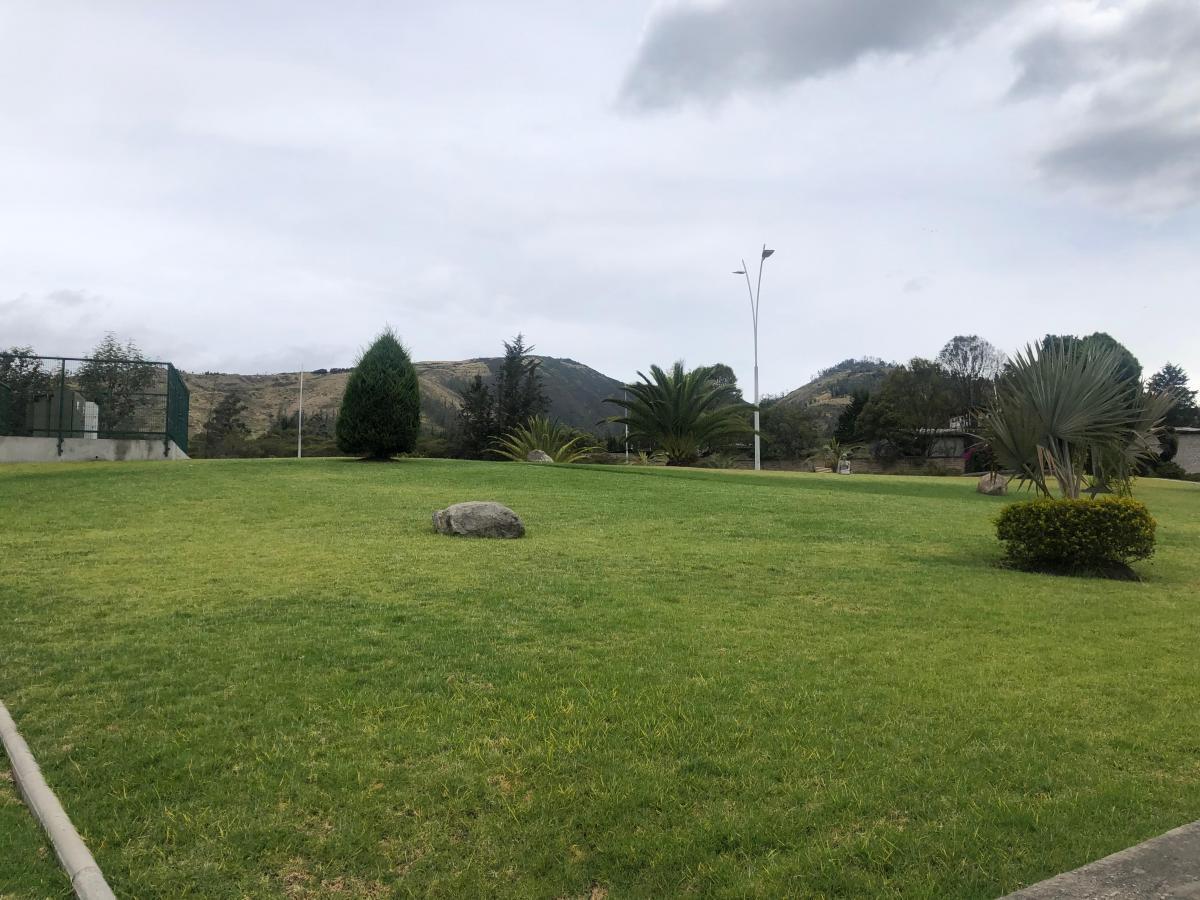 Hermoso Tereno de Venta Tumbaco — imagen 4