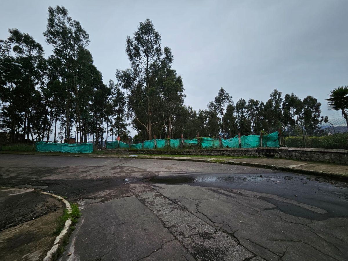 Terreno en Urbanizacion - Mariscal Sucre - Occidental — imagen 5